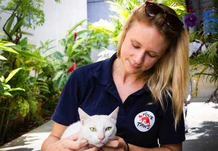 Paw Animal Welfare Improving the Lives of Domesticated Animals